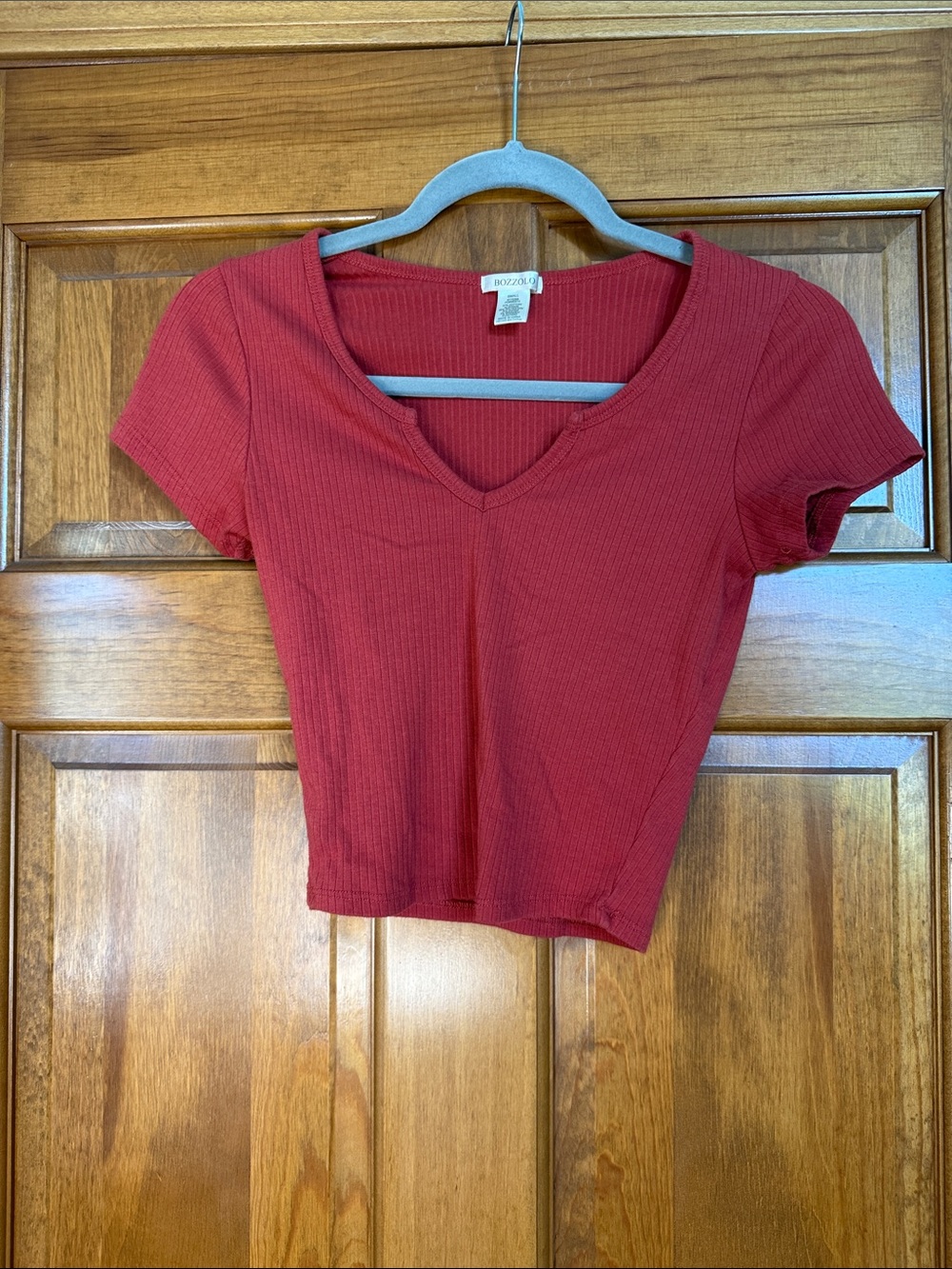 Ribbed Short Sleeve Crop Top in burnt orange/red